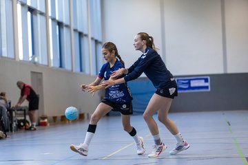 Bild 235 - wBJ HTS/BW96 Handball - Niendorfer TSV : Ergebnis: 27:27